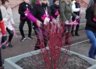 IMG_20170214_154205
